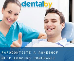 Parodontiste à Agneshof (Mecklembourg-Poméranie)