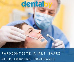 Parodontiste à Alt Gaarz (Mecklembourg-Poméranie)