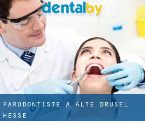 Parodontiste à Alte Drusel (Hesse)