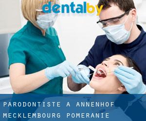 Parodontiste à Annenhof (Mecklembourg-Poméranie)