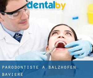 Parodontiste à Balzhofen (Bavière)
