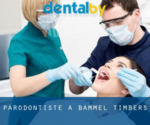 Parodontiste à Bammel Timbers