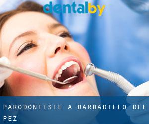 Parodontiste à Barbadillo del Pez