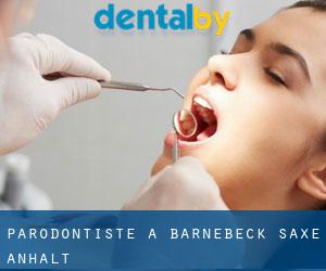 Parodontiste à Barnebeck (Saxe-Anhalt)
