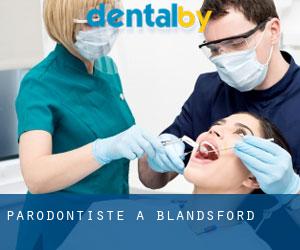 Parodontiste à Blandsford