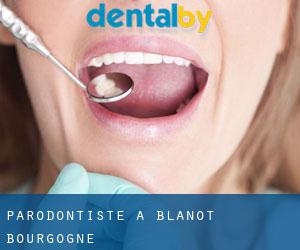 Parodontiste à Blanot (Bourgogne)