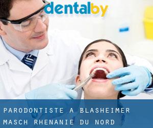 Parodontiste à Blasheimer Masch (Rhénanie du Nord-Westphalie)
