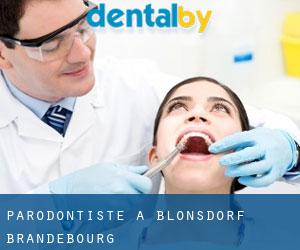 Parodontiste à Blönsdorf (Brandebourg)