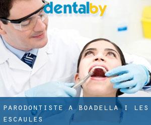Parodontiste à Boadella i les Escaules