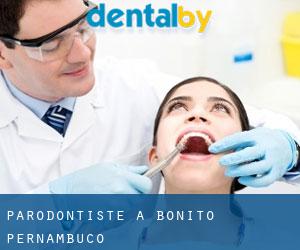 Parodontiste à Bonito (Pernambuco)