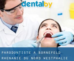 Parodontiste à Bornefeld (Rhénanie du Nord-Westphalie)