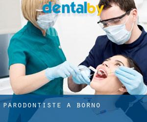 Parodontiste à Borno