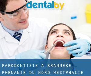 Parodontiste à Branneke (Rhénanie du Nord-Westphalie)