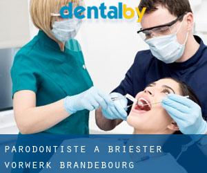 Parodontiste à Briester Vorwerk (Brandebourg)