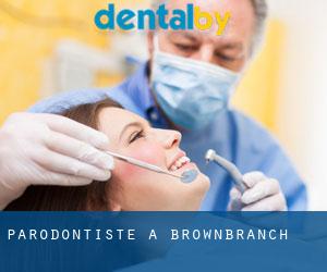 Parodontiste à Brownbranch