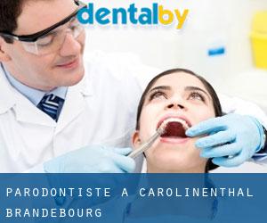 Parodontiste à Carolinenthal (Brandebourg)