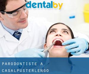 Parodontiste à Casalpusterlengo