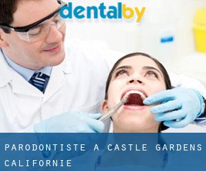 Parodontiste à Castle Gardens (Californie)