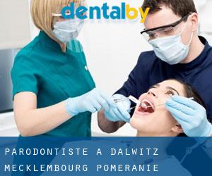 Parodontiste à Dalwitz (Mecklembourg-Poméranie)