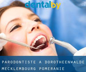 Parodontiste à Dorotheenwalde (Mecklembourg-Poméranie)