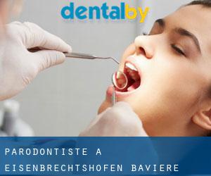 Parodontiste à Eisenbrechtshofen (Bavière)