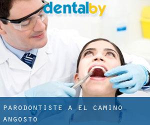 Parodontiste à El Camino Angosto