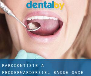 Parodontiste à Fedderwardersiel (Basse-Saxe)