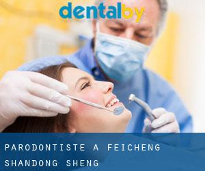 Parodontiste à Feicheng (Shandong Sheng)
