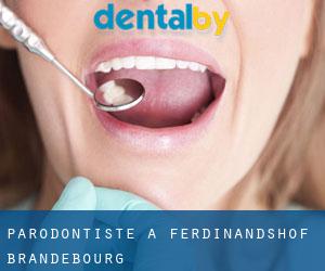 Parodontiste à Ferdinandshof (Brandebourg)