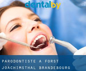Parodontiste à Forst Joachimsthal (Brandebourg)