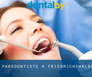 Parodontiste à Friedrichswalde
