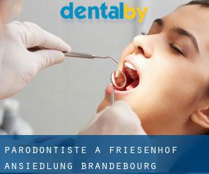 Parodontiste à Friesenhof-Ansiedlung (Brandebourg)