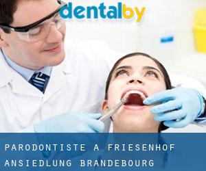 Parodontiste à Friesenhof-Ansiedlung (Brandebourg)
