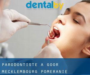 Parodontiste à Goor (Mecklembourg-Poméranie)