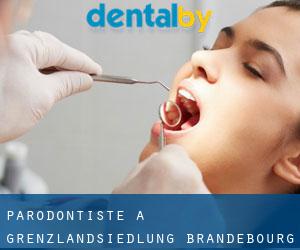 Parodontiste à Grenzlandsiedlung (Brandebourg)