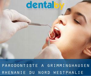 Parodontiste à Grimminghausen (Rhénanie du Nord-Westphalie)