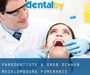 Parodontiste à Groß Schwaß (Mecklembourg-Poméranie)