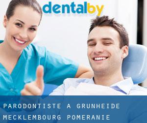 Parodontiste à Grünheide (Mecklembourg-Poméranie)