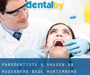 Parodontiste à Hausen ob Rusenberg (Bade-Wurtemberg)
