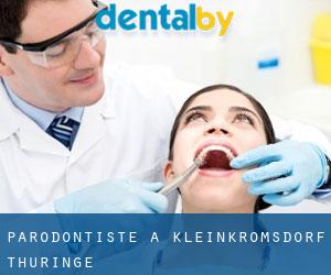 Parodontiste à Kleinkromsdorf (Thuringe)