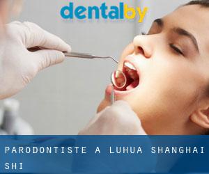 Parodontiste à Luhua (Shanghai Shi)