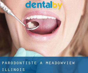 Parodontiste à Meadowview (Illinois)
