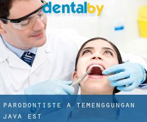 Parodontiste à Temenggungan (Java Est)