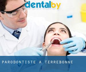 Parodontiste à Terrebonne