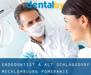 Endodontist à Alt Schlagsdorf (Mecklembourg-Poméranie)