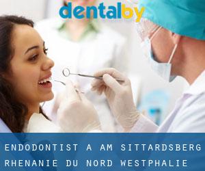 Endodontist à Am Sittardsberg (Rhénanie du Nord-Westphalie)