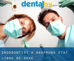 Endodontist à Ansprung (État libre de Saxe)