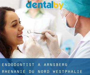 Endodontist à Arnsberg (Rhénanie du Nord-Westphalie)