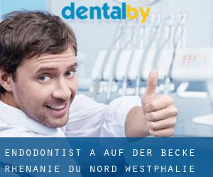 Endodontist à Auf der Becke (Rhénanie du Nord-Westphalie)