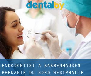 Endodontist à Babbenhausen (Rhénanie du Nord-Westphalie)